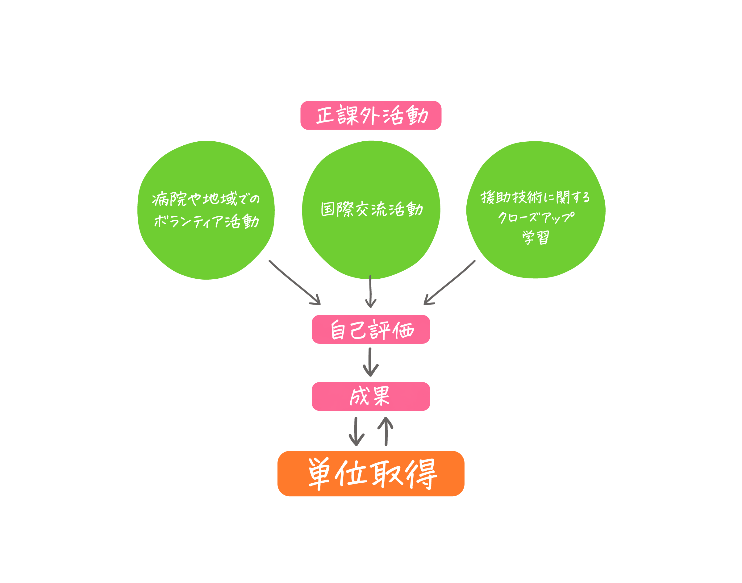 正課外活動 病院や地域でのボランティア活動/国際交流活動/援助技術に関するクローズアップ学習→自己評価→成果⇔単位取得