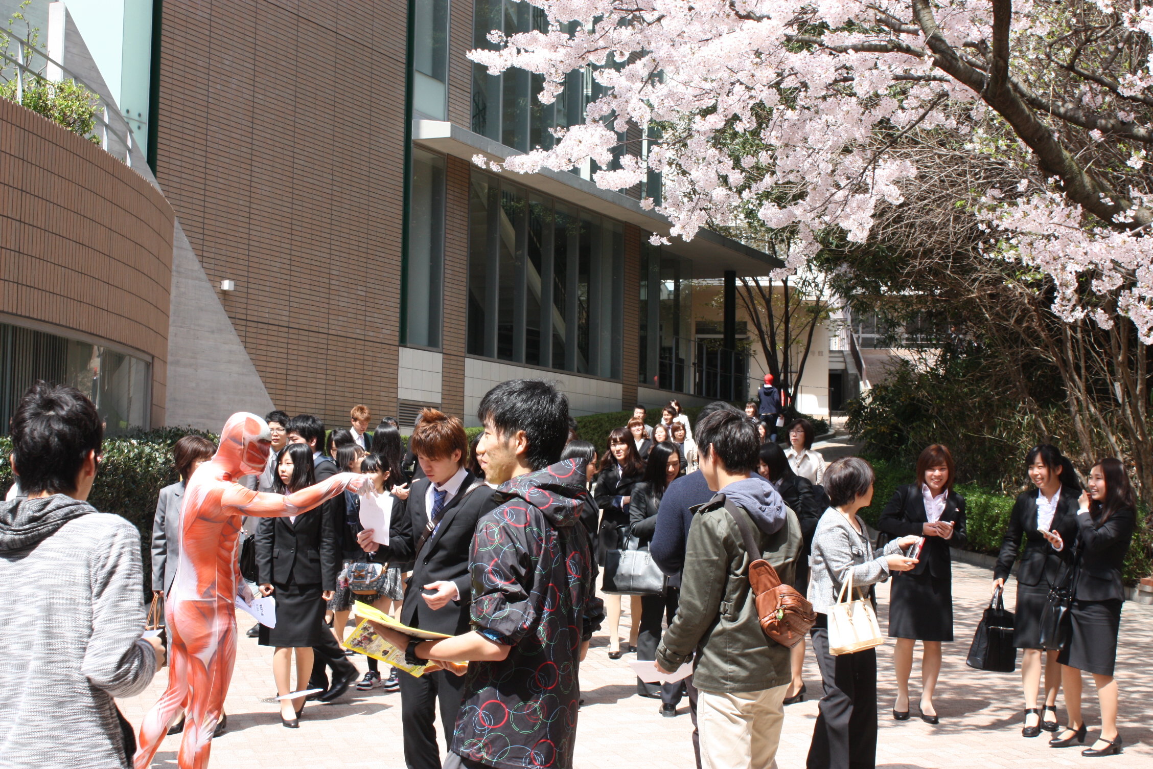 入学式 広報ブログ 神戸常盤大学 神戸常盤大学短期大学部