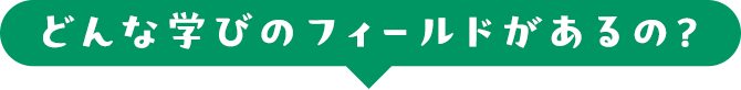 どんな学びのフィールドがあるの？