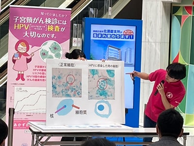 国際交流 画像