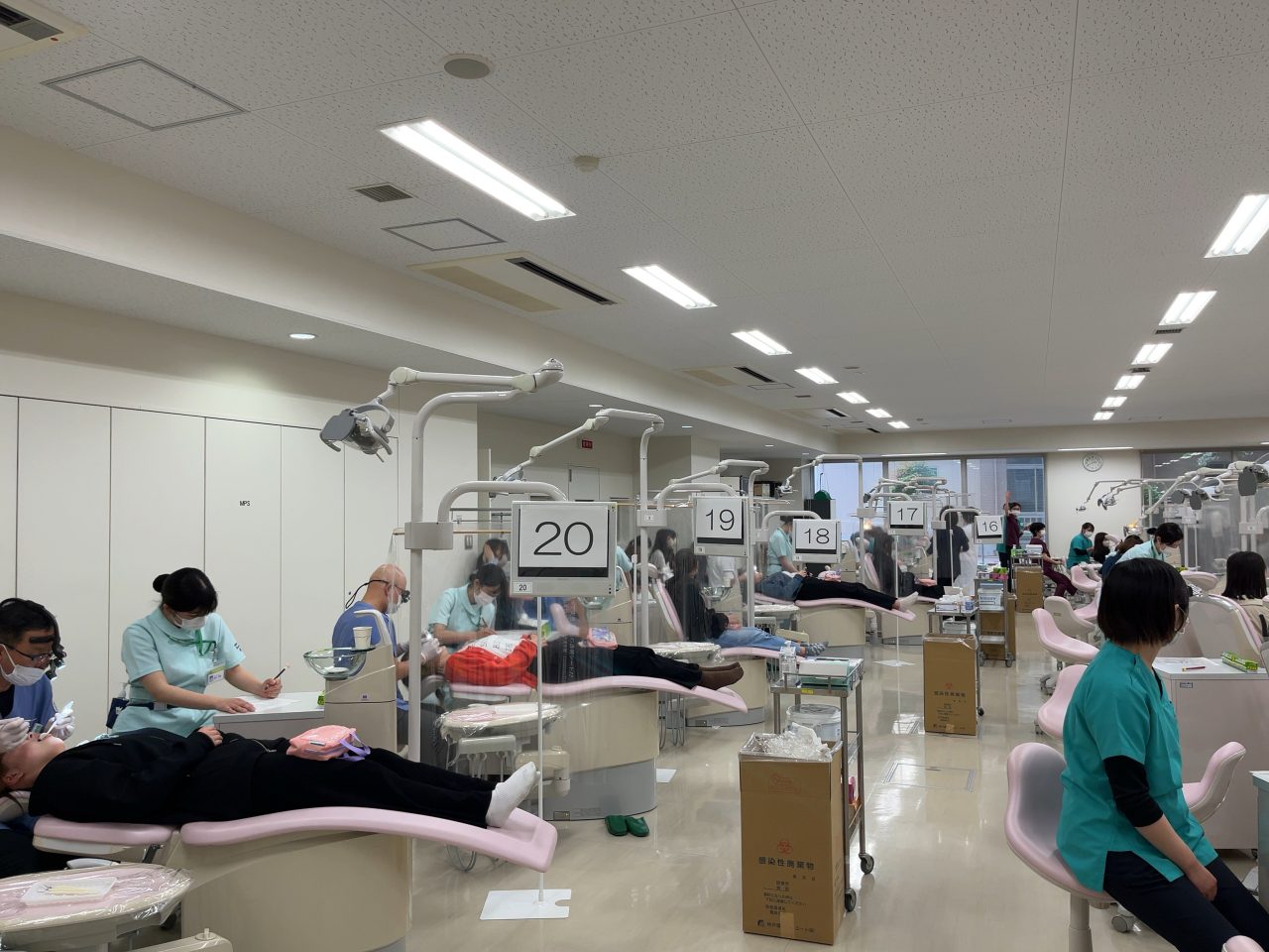 【口腔保健学科】新入生対象歯科健診
