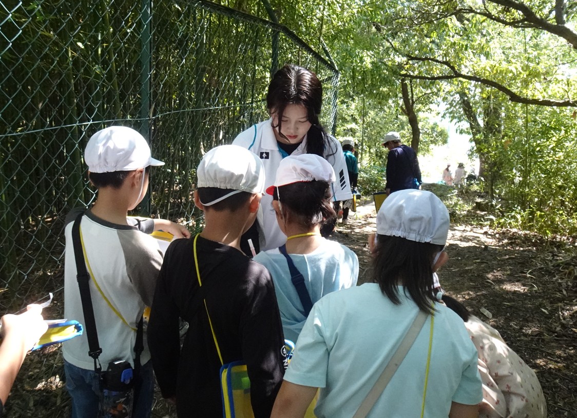 【こども教育学科】神戸市立蓮池小学校3年生が環境体験学習で来学しました