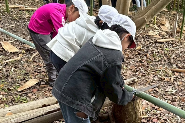 【こども教育学科】蓮池小学校3年生が「ときわの森」で竹細工に挑戦！