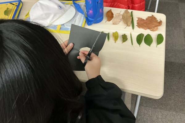 蓮池小学校3年生が「ときわの森」で環境体験学習を実施しました